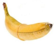 a banana in a condom mimics an enlarged dick